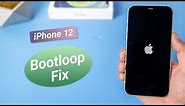 How to Fix iPhone 12/12 Pro/12 Mini Stuck on Apple Logo/Boot Loop (No Data Loss)