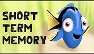Short Term Memory (Free Test + Examples)