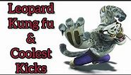 real timing kung fu class / leopard kung fu lesson 2 / coolest leopard kicks