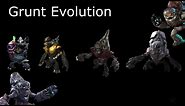 The Evolution of Halo's Covenant - The Grunts