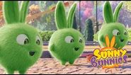 Videos For Kids | TRIPLE TROUBLE - SUNNY BUNNIES | Cute Cartoons | Funny Videos For Kids