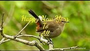 New Year Greetings & Best Wishes 2024 - Watch Till The End