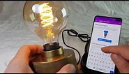 How to pair Philips Hue lights by serial number
