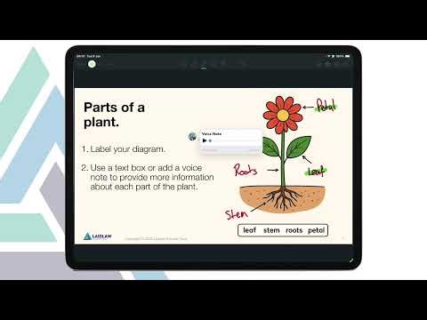 Showbie - High quality individual feedback