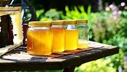 Is eating local honey the cure for allergies? Find out here