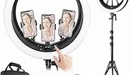NEEWER Ring Light RP19H 19 inch with Stand and 3 Phone Holders, Upgraded 2.4G and Touch Control, Smooth Dimming at 1%, 42W CRI 97+ 2540lux, Professional for Streaming Home Office Zoom Call Lighting