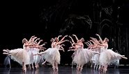 Swan Lake: Corps de Ballet (The Royal Ballet)
