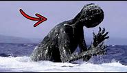 Top 5 Scary Mythical Deep Sea Creatures That Actually Existed
