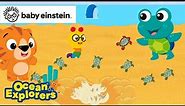 Sea Turtle Fun! | World Sea Turtle Day 🌊🐢 | Baby Einstein | Ocean Explorers | Kids Cartoons Show