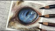 Learn To Draw a Cat's Eye in Colored Pencil | REAL TIME TUTORIAL