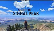 Summit Of Signal Peak, Highest Point (10,365ft) In Pine Valley Mountains, Southwestern Utah