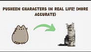 Pusheen Characters in Real Life! (More Accurate)