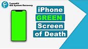 How to Fix iPhone Green Screen 2024 [3 Simple Tips]