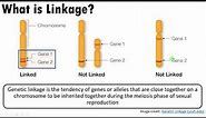The relationship between Linkage, Independent Assortment, Crossing Over and Homologous recombination