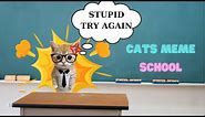 Banana cat learns math | cats meme school series | part 1