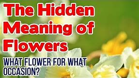The Hidden Meaning of Flowers