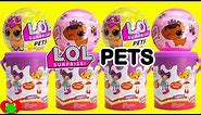 LOL Surprise Pets and Lalaloopsy Mini Dolls