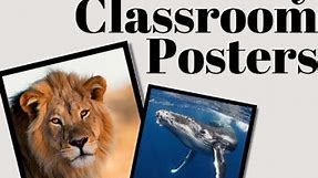 Funny Classroom Posters