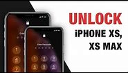 Remove Forgotten Passcode to Unlock Disabled iPhone XS, XS Max. Easy & Safe!