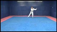 Taekwondo Pattern #9 Black Belt 1st Dan