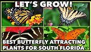 BEST BUTTERFLY ATTRACTING PLANTS FOR A SOUTH FLORIDA GARDEN