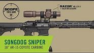 AR-15 Build for Coyote Hunting | Scope This Gun