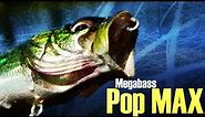 Megabass Pop Max