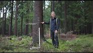 How to measure tree diameters and dbh