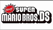 Title Screen - Newer Super Mario Bros. DS Music - Extended