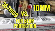 10mm vs .357 Magnum for Bear Protection in Alaska