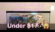 How to Set Up A Saltwater Tank for under $200!