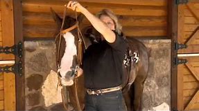 Bridling a Western Horse with Kathy Slack