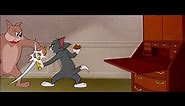Tom and Jerry 2021| Tom N Dog Have A Sword Fight| Try Not To Laugh| Funny