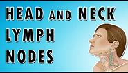 Lymph Nodes In The Neck - Occipital, Auricular, Cervical, Submandibular and Submental nodes