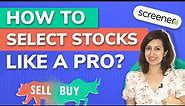 How to find multibagger stocks using stock Screener | How to filter and analyse stocks like experts