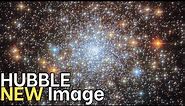 NEW! Hubble Glimpses a Glitzy Galactic Cluster