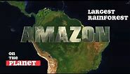 The Amazon Rainforest - Origin and Destiny