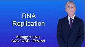 A Level Biology Revision "DNA Replication"