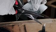 LIVINGO 10" Multipurpose Heavy Duty Scissors, Premium Titanium Coating Forged Stainless Steel Tool Industrial Shears for Household Pruning, Gardening, Fabric