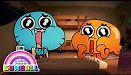 Viral Videos 📹 The Amazing World of Gumball 📹 Cartoon Network