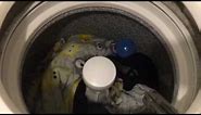 Kenmore series 100 | HE washer