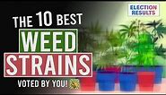 The 10 BEST WEED Strains Voted for by YOU!