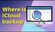 How to View iCloud Backup