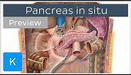 Pancreas in situ (preview) - Human Anatomy | Kenhub