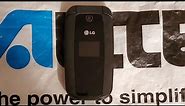 Tracfone Wireless LG 440G