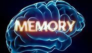 Memory Facts for Kids – How Your Brain Works