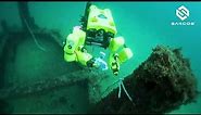 Guardian Sea Class Underwater Robotic Arm System: Dexterous underwater manipulation
