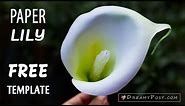 [FREE template] How to make paper Calla Lily flower, so easy and realistic