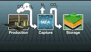 How carbon capture plant works