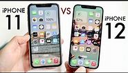 iPhone 12 Vs iPhone 11 In 2023! (Comparison) (Review)